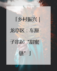 乡村振兴｜龙亭区：车厘子串起“甜蜜链”