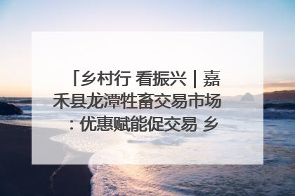 乡村行 看振兴｜嘉禾县龙潭牲畜交易市场：优惠赋能促交易 乡村振兴添动能