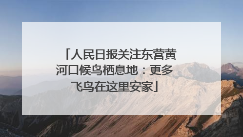 人民日报关注东营黄河口候鸟栖息地：更多飞鸟在这里安家