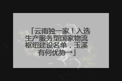 云南独一家！入选生产服务型国家物流枢纽建设名单，玉溪有何优势→