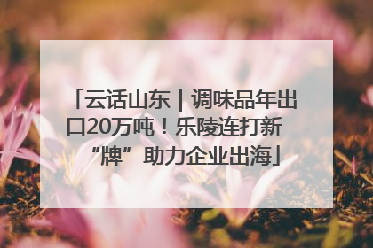 云话山东｜调味品年出口20万吨！乐陵连打新“牌”助力企业出海