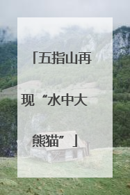 五指山再现“水中大熊猫”