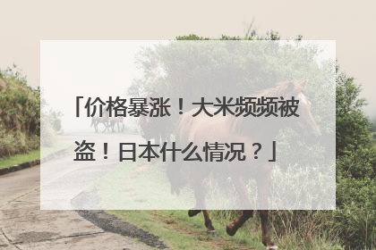价格暴涨！大米频频被盗！日本什么情况？