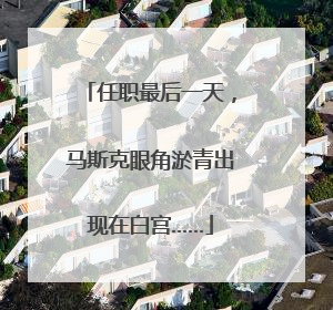 任职最后一天，马斯克眼角淤青出现在白宫……