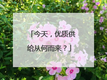 今天，优质供给从何而来？