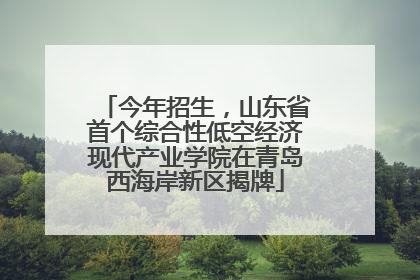 今年招生，山东省首个综合性低空经济现代产业学院在青岛西海岸新区揭牌