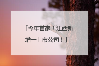 今年首家！江西新增一上市公司！