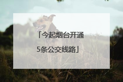 今起烟台开通5条公交线路