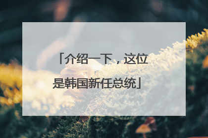 介绍一下，这位是韩国新任总统