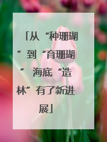 从“种珊瑚”到“育珊瑚” 海底“造林”有了新进展