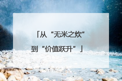 从“无米之炊”到“价值跃升”