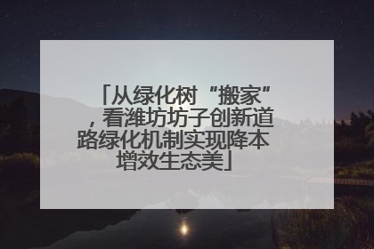 从绿化树“搬家”，看潍坊坊子创新道路绿化机制实现降本增效生态美