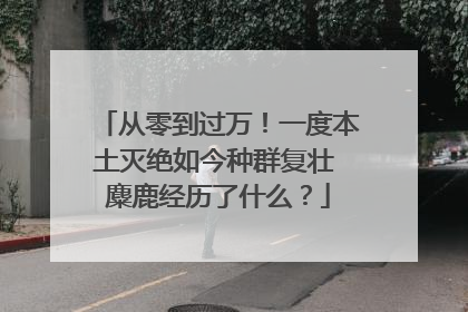 从零到过万！一度本土灭绝如今种群复壮 麋鹿经历了什么？
