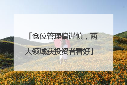 仓位管理偏谨慎，两大领域获投资者看好
