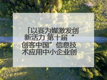 以赛为媒激发创新活力 第十届“创客中国”信息技术应用中小企业创新创业大赛举行