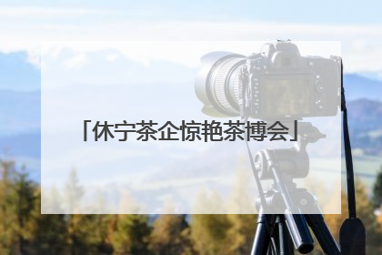 休宁茶企惊艳茶博会