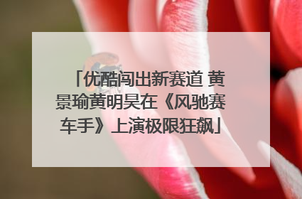 优酷闯出新赛道 黄景瑜黄明昊在《风驰赛车手》上演极限狂飙
