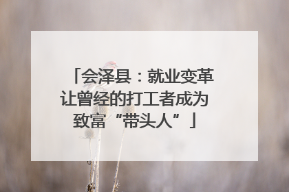 会泽县：就业变革让曾经的打工者成为致富“带头人”