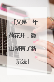 又是一年荷花开，微山湖有了新玩法