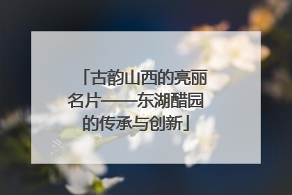 古韵山西的亮丽名片——东湖醋园的传承与创新