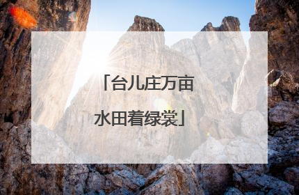 台儿庄万亩水田着绿裳