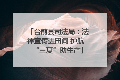 台前县司法局：法律宣传进田间 护航“三夏”助生产