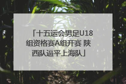 十五运会男足U18组资格赛A组开赛 陕西队逼平上海队