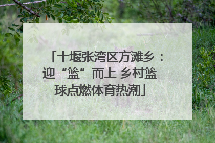 十堰张湾区方滩乡：迎“篮”而上 乡村篮球点燃体育热潮