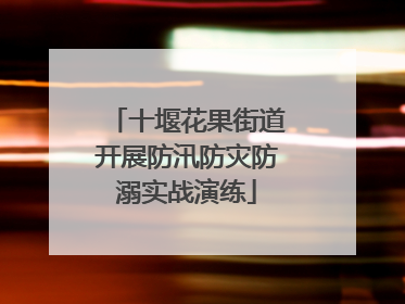 十堰花果街道开展防汛防灾防溺实战演练