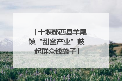 十堰郧西县羊尾镇“甜蜜产业”鼓起群众钱袋子