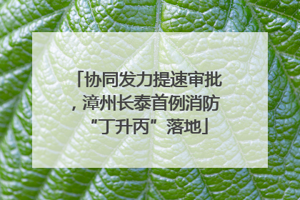 协同发力提速审批，漳州长泰首例消防“丁升丙”落地