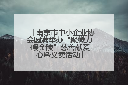 南京市中小企业协会圆满举办“聚微力·暖金陵”慈善献爱心暨义卖活动
