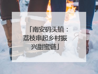 南安码头镇：荔枝串起乡村振兴甜蜜链
