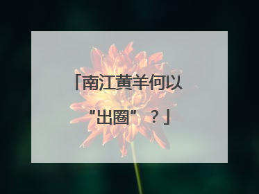 南江黄羊何以“出圈”？