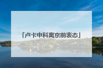 卢卡申科离京前表态