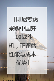 印尼考虑采购中国歼-10战斗机，正评估性能与成本优势