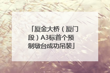 厦金大桥（厦门段）A3标首个预制墩台成功吊装