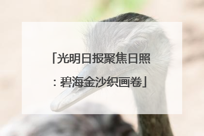 光明日报聚焦日照：碧海金沙织画卷