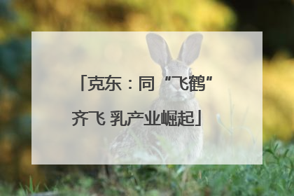 克东：同“飞鹤”齐飞 乳产业崛起