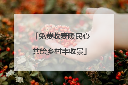 免费收麦暖民心 共绘乡村丰收景
