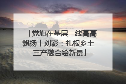 党旗在基层一线高高飘扬丨刘影：扎根乡土 三产融合绘新景