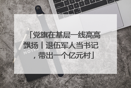党旗在基层一线高高飘扬丨退伍军人当书记，带出一个亿元村