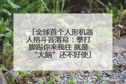 全球首个人形机器人格斗赛落幕：拳打脚踢你来我往 就是“大脑”还不好使