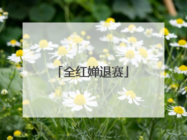 全红婵退赛