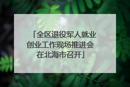 全区退役军人就业创业工作现场推进会在北海市召开