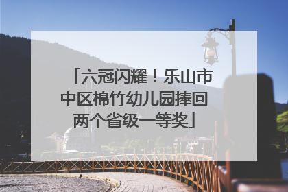 六冠闪耀！乐山市中区棉竹幼儿园捧回两个省级一等奖