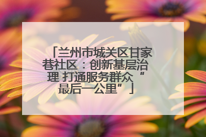 兰州市城关区甘家巷社区：创新基层治理 打通服务群众“最后一公里”