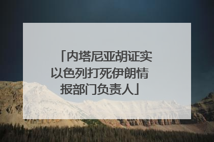 内塔尼亚胡证实以色列打死伊朗情报部门负责人