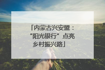 内蒙古兴安盟：“阳光银行”点亮乡村振兴路