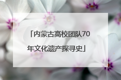 内蒙古高校团队70年文化遗产探寻史